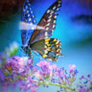 Meet your Posher, Cory